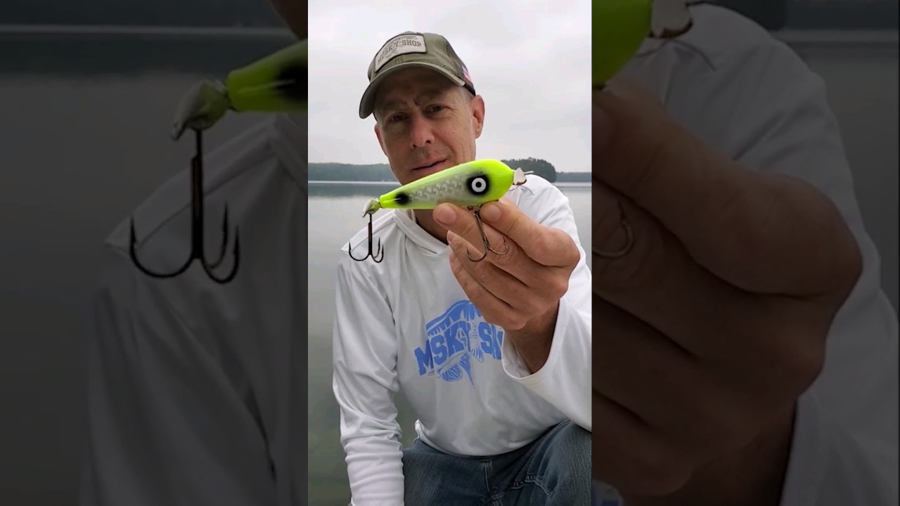 shimano 1000 size spinning reel Sedona Ultralight Fishing – Fish With Hanish Tackles TRDCR-46PK6 creating an excellent combination Buccaneer Snapper Bluefish Kit Lures Color:Yellow