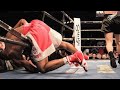Felix Trinidad (Puerto Rico) vs Fernando Vargas (USA) KNOCKOUT - Highlights - Boxing Fight