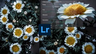 flower photo editing in lightroom mobile/vs pictures screenshot 4