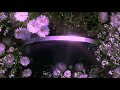 Weyes Blood Mirror Forever Slowed Reverb 
