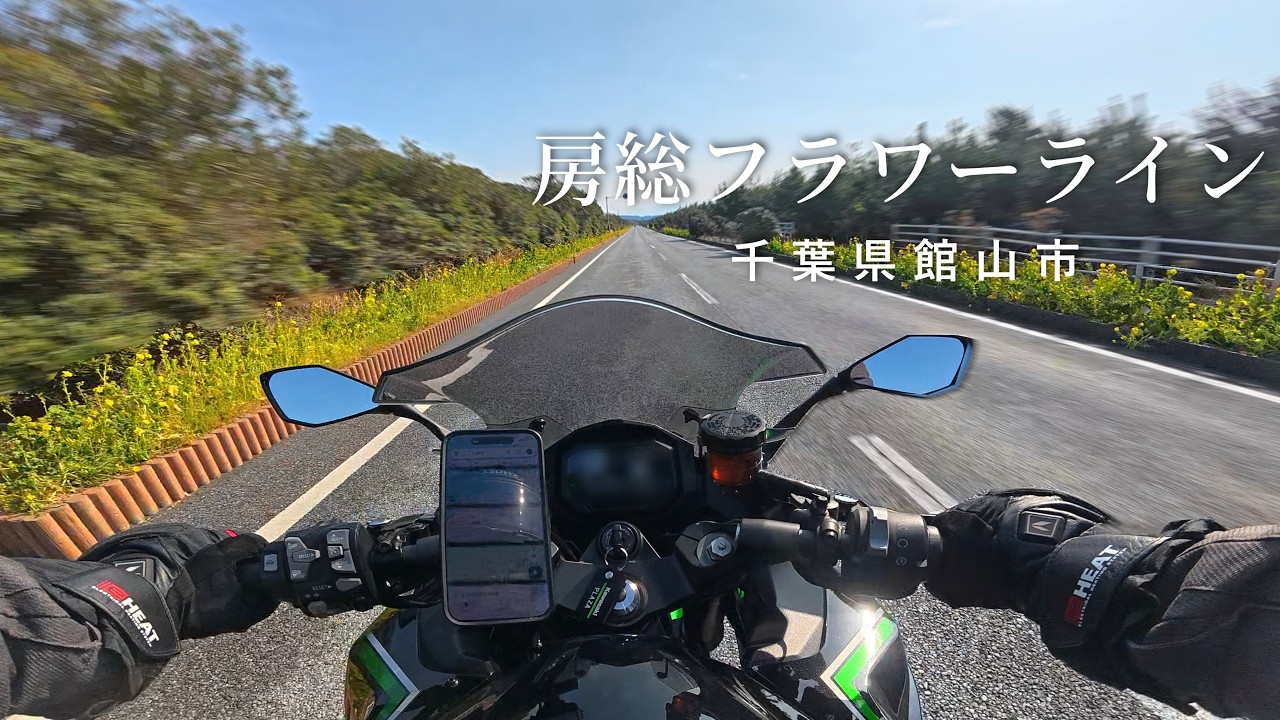 【房総フラワーライン】千葉県の菜の花畑と海岸線を走る　Ninja1000SX 一人称走行動画