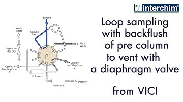 VICI – Loop sampling with backflush of pre column to vent with a diaphragm valve