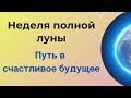 Неделя полной луны. Пусть в счастливое будущее.