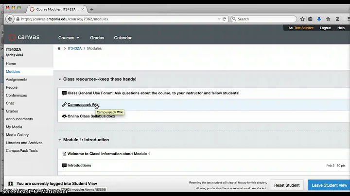 Getting Started in Canvas