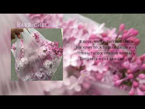 Bakr-сирень |speed up|