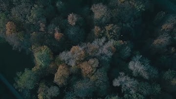 الشيخ حسن صالح  من اجمل ما سمعت اذناي، تلاوة رائعة ماتيسر من سورة فاطر