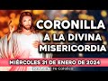 CORONILLA A LA DIVINA MISERICORDIA DE HOY MÉRCOLES 31 DE ENERO DE 2024|Yo Amo Mi Fe Católica