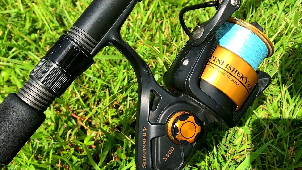 Top Saltwater Conventional Reels: Guide & Reviews – Beach Bum Outdoors