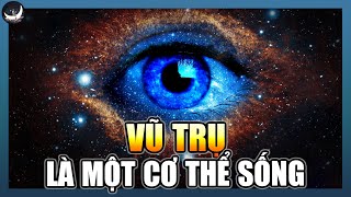 The Universe is Unbelievably a Living Being Created in a Laboratory | Primordial Universe