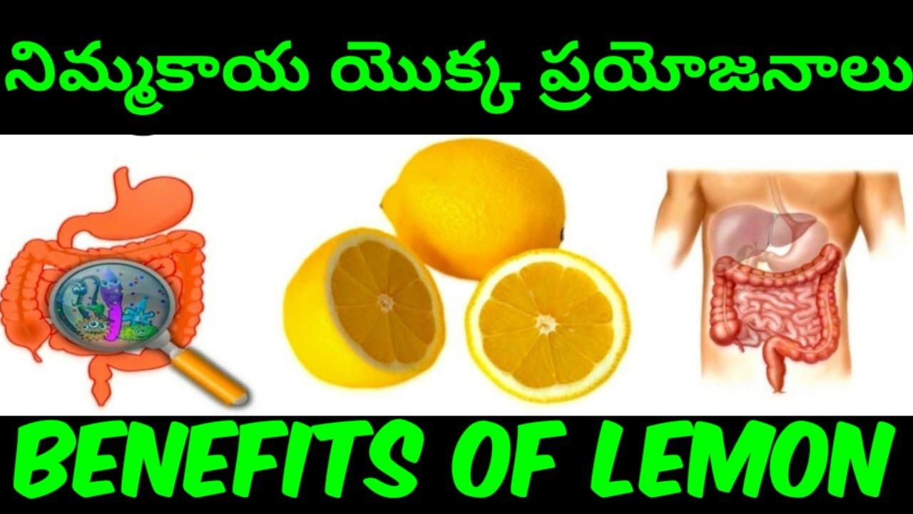 నిమ్మకాయ యొక్క అద్భుతమైన ప్రయోజనాలు Benefits of lemon in Telugu నిమ్మకాయ Mana Ayurvedam