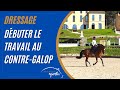 Un exercice pour dbuter le contre galop