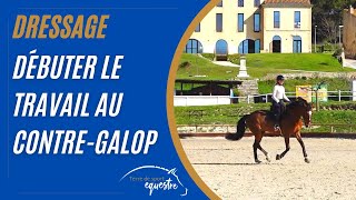 Un exercice pour débuter le contre galop Un exercice pour débuter le contre galop