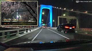 [2024/03] Cherry blossom viewing and Driving the Tokyo Metropolitan Expwy at night