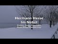 Capture de la vidéo Hermann Hesse - Im Nebel