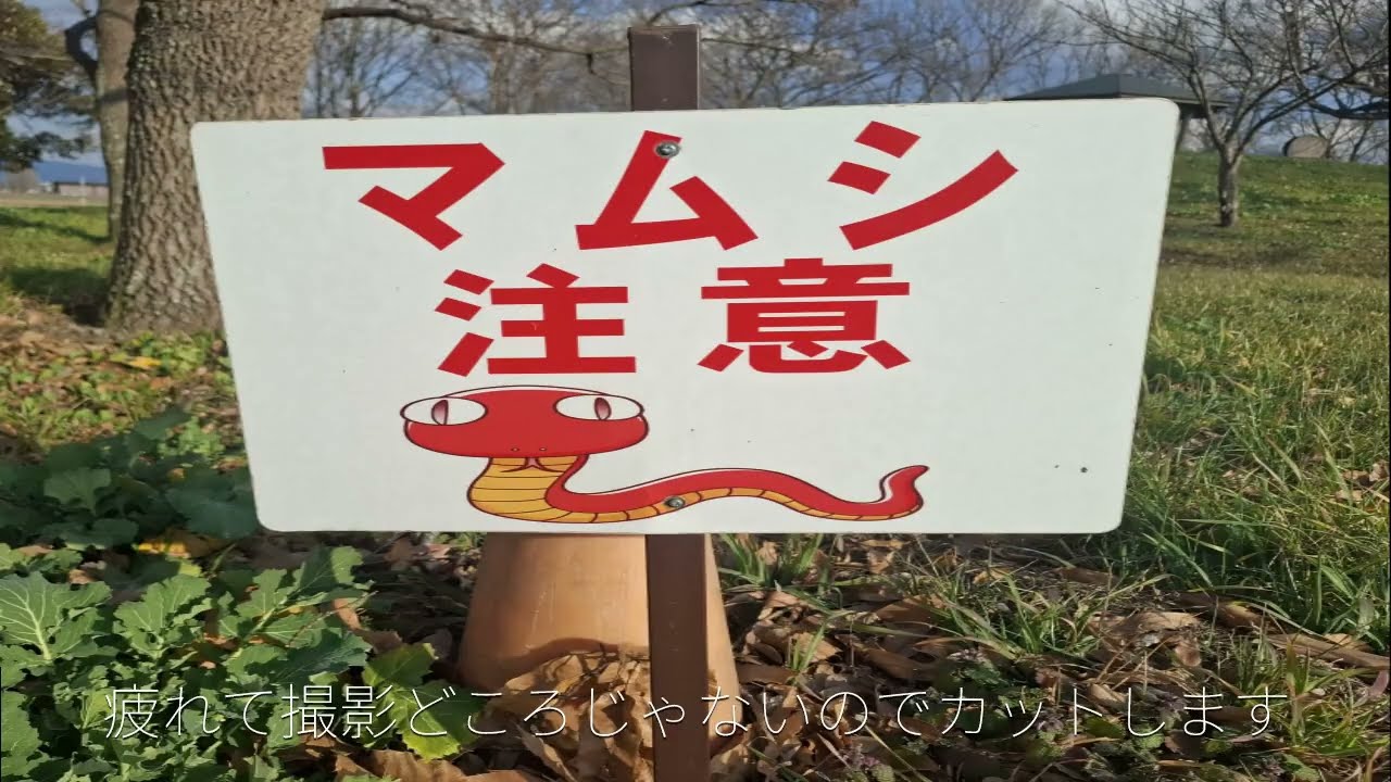 100年ぶりに走ってみました。