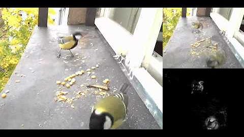 motion detection triggered webcam made with Processing
