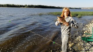 ОНА ОПЯТЬ ВСЕХ ПЕРЕЛОВИЛА Рыбалка летом на Дону ОНА ОПЯТЬ ВСЕХ ПЕРЕЛОВИЛА Рыбалка летом на Дону