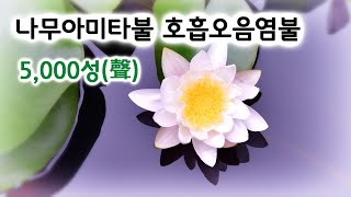 나무아미타불 호흡오음염불 묘림스님 5000성(聲) 수행 정진판 / Namo Amitabha Chanting / 오디오 수정판