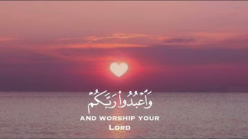 يا أيها الذين آمنوا اركعوا واسجدوا | تلاوه القارئ الشيخ عبد الرحمن مسعد