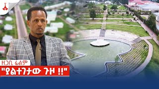 ዘጋቢ ፊልም - 