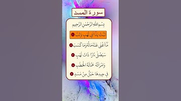 محمد الفقية - سورة المسد