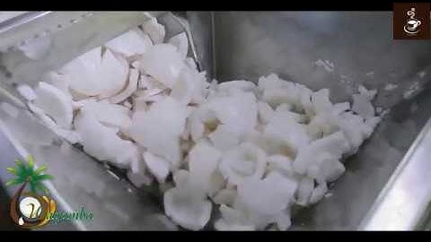 Modern Food Processing Technology with Cool Automatic Machines That Are At Another Level