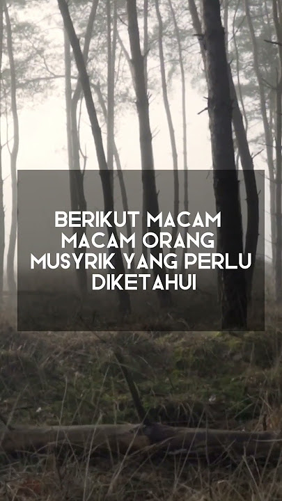 Arti Musyrik dalam Agama Islam #shorts #aliflaammeem