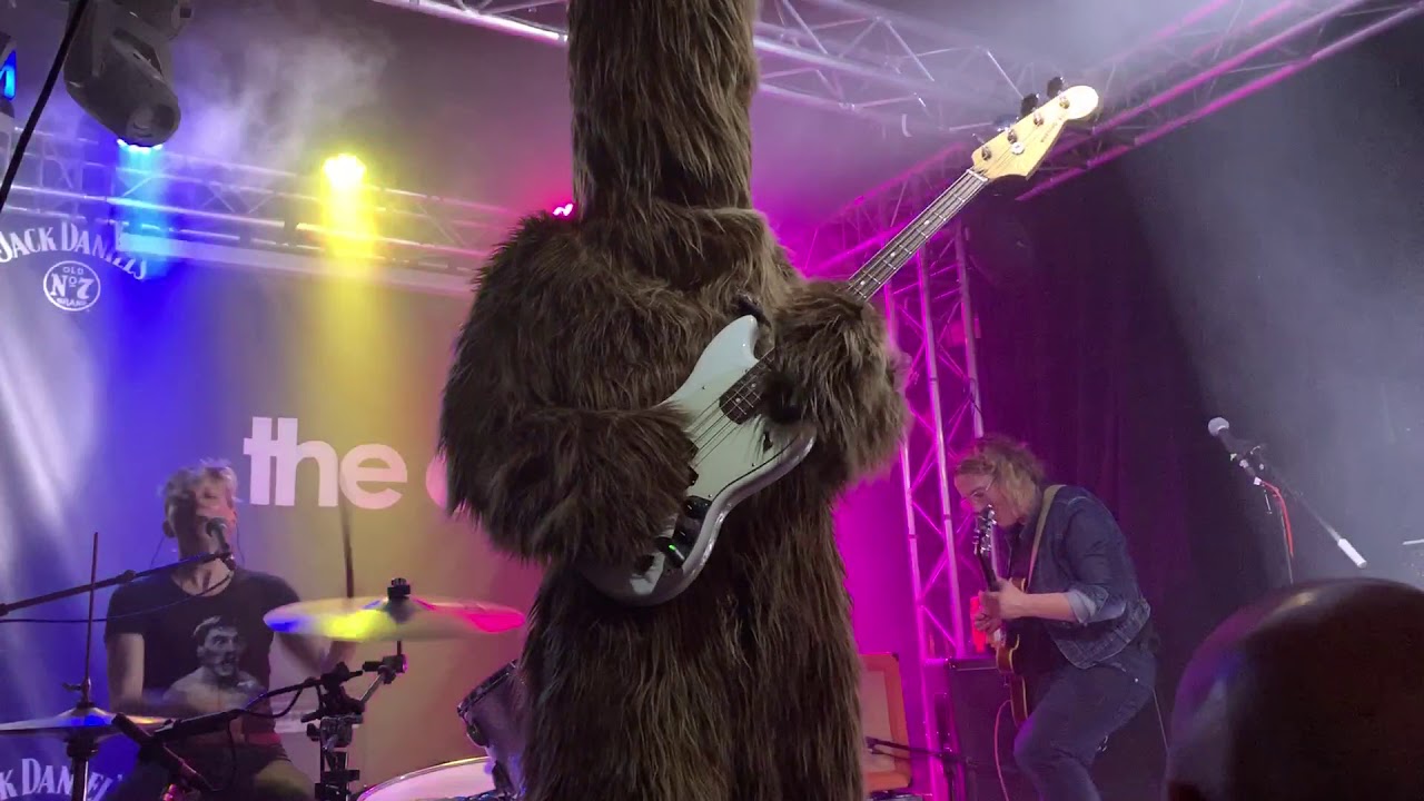 the Noise & the Naive - Mus Musculus (Live, Jan 2020)