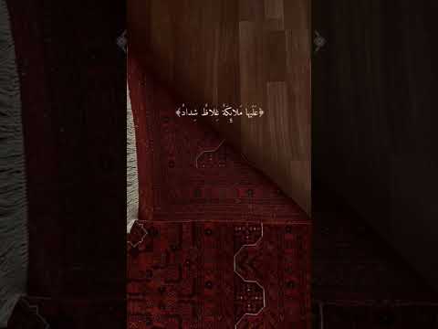 يا ايها الذين امنوا قوا انفسكم واهليكم نارا وقودها الناس والحجارة قران كريم راحه نفسيه