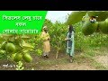 Deepto krishi           deepto tv