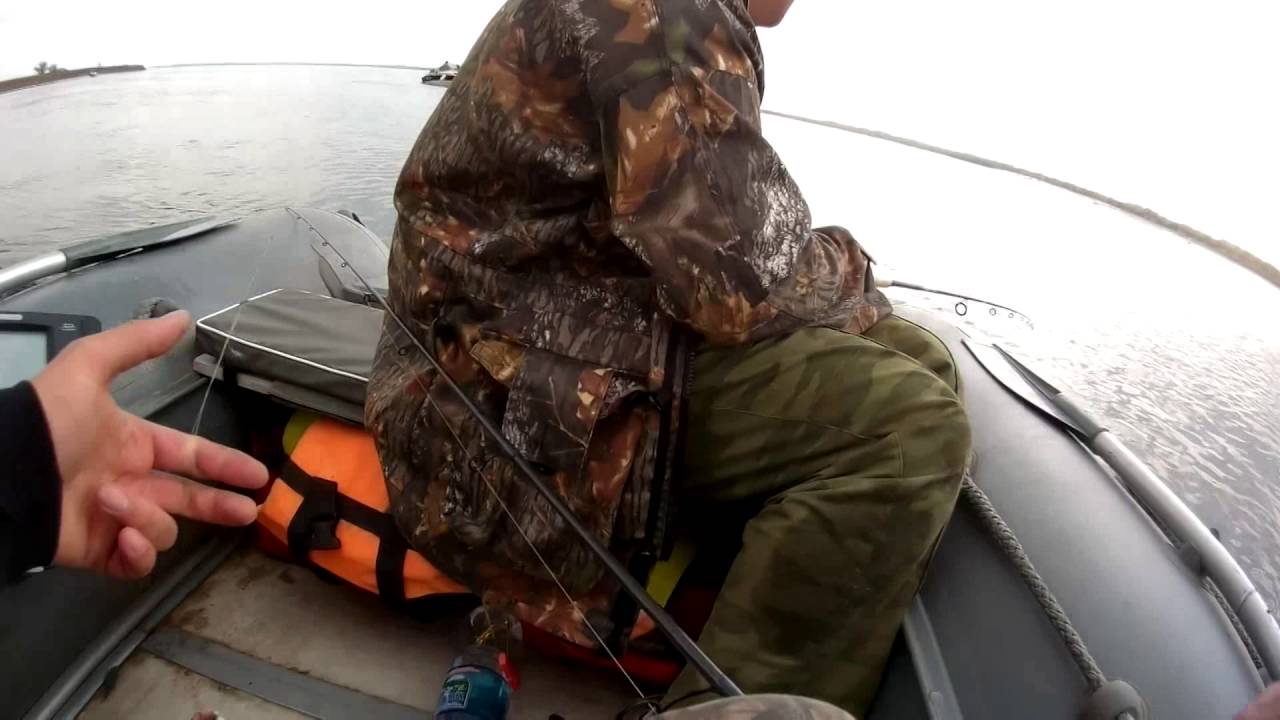Ловля чехони на оке