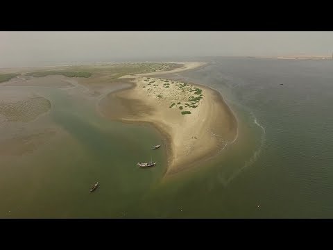 Video: Жашаган арал