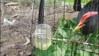 cum num moi 2022 ko co bôi băt nhung pai luyên tâp đoi mua xuông chiên đâu tip