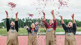 Introducing The Ocean Spray Cranberry Chef Collective