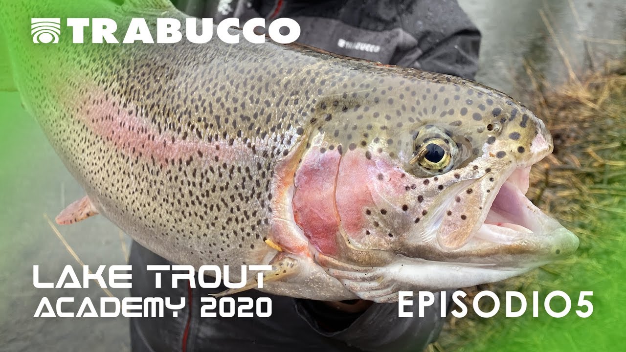 Sfida alle TROTE invernali | LAKE TROUT Academy S2E5 |  @trabuccofishing