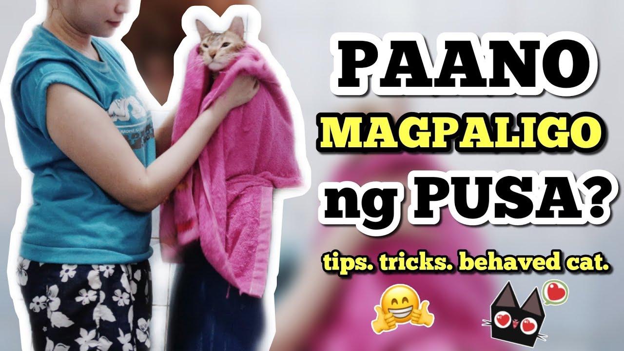 PAANO MAG PALIGO NG MGA PUSA? HOW TO BATHE A CAT? (PHILIPPINES)