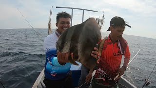 Mancing Tuas Muzer Kuala Kedah Tenggiri Cerdik , Gerot² Makan Awal n Telinga Gajah Makan Roti s309