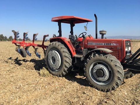 Massey Ferguson 3.105D