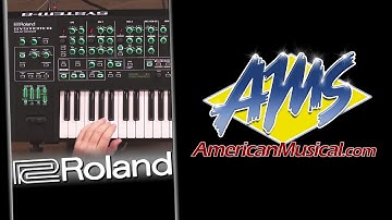 Roland System 8 Performance - Roland System 8 Synthesizer