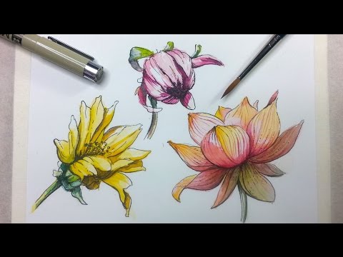 Ink Watercolor - Alphonso Dunn