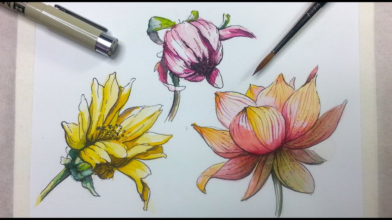 How to Draw & Paint Flowers with Ink and Watercolor Part 2 - YouTube