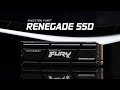 Vídeo: SSD 4TB KINGSTON FURY RENEGADE M.2 2280 NVMe PCIe 4.0 (PN:SFYRD/4000G)