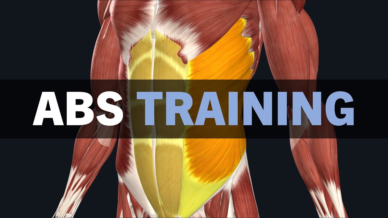 Should You Train Abs Directly YouTube Should You Train Abs Directly YouTube