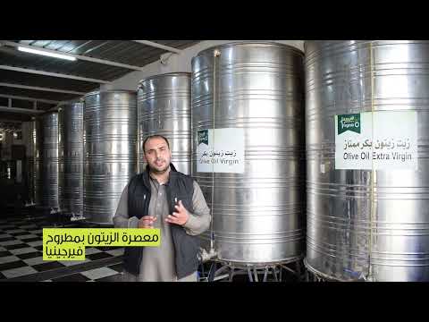ماذا يعني لنا زيت الزيتون في معصرة الزيتون فيرجينيا بمطروح