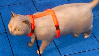 картинка: Приют для Кошек и собак #5 Обновление Animal Shelter с Кидом на Пурумчата