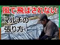【自然薯栽培】風に飛ばされないマルチの張り方