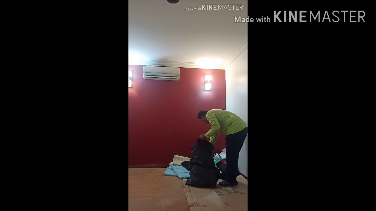 TASK JOB PELIK UNTUK RUNNER (RUNNER TO CLEANER) YouTube