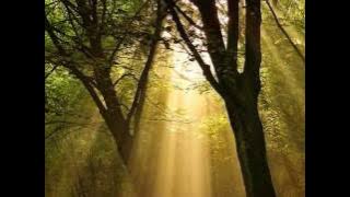 Haddaway - I Miss You