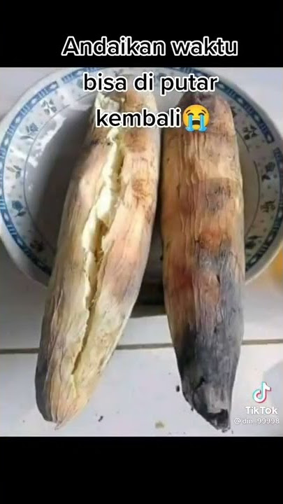 Jjd ingat masa kecil dulu