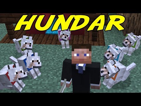 Video: Hur man bygger en stad i Minecraft: 6 steg